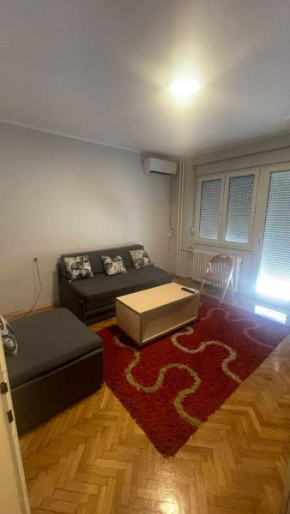 Studio apartment in Grbavica